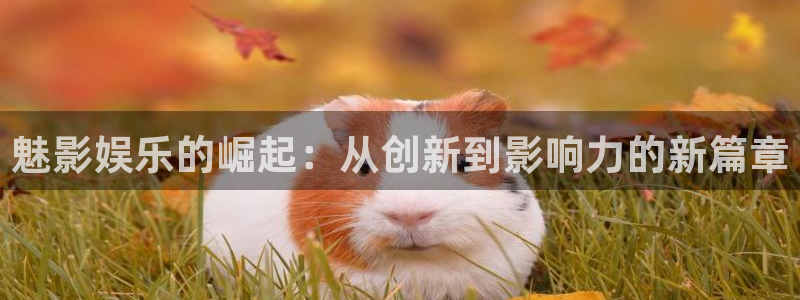 彩神vii官方：魅影娱乐的崛起：从创新到影响力的新篇章