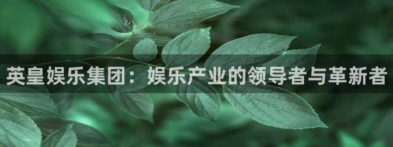 彩神vii官方：英皇娱乐集团：娱乐产业的领导者与革新者