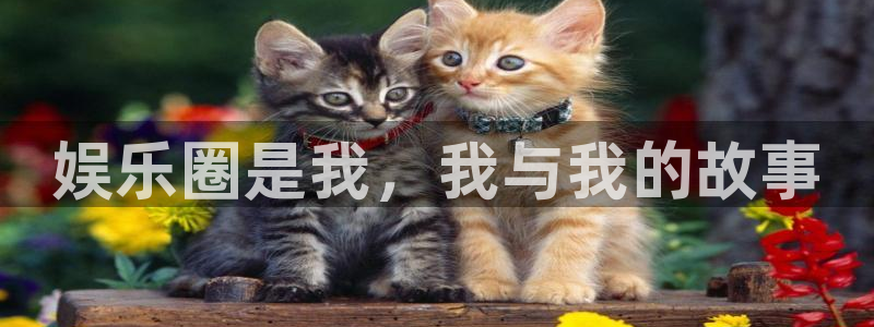 彩神vii官方：娱乐圈是我，我与我的故事