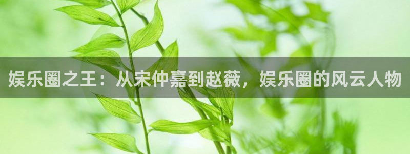 彩神vii官方：娱乐圈之王：从宋仲嘉到赵薇，娱乐圈的风云人物